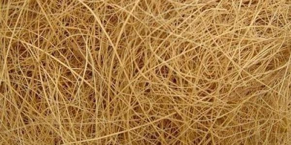 Brown-coir-fibre